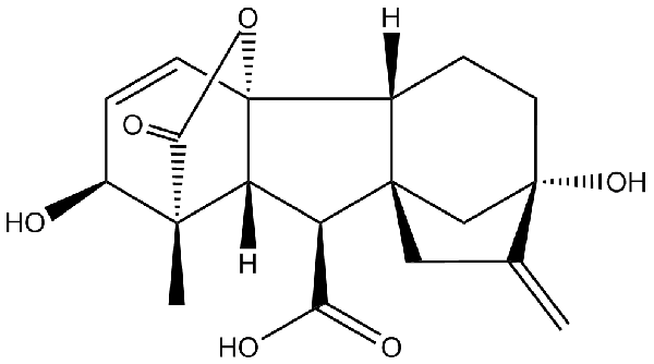 赤霉素GIBBERELLIC ACID，居然有這么神奇？